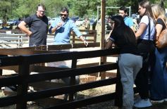 Foto de la galería: Remate, equitación y gastronomía: parte del éxito del domingo de disfrute en el Campo La Armonía