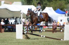 Foto de la galería: Remate, equitación y gastronomía: parte del éxito del domingo de disfrute en el Campo La Armonía