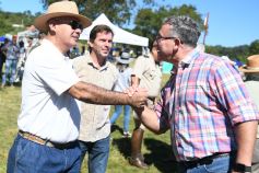 Foto de la galería: Remate, equitación y gastronomía: parte del éxito del domingo de disfrute en el Campo La Armonía
