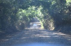 Foto de la galería: Remate, equitación y gastronomía: parte del éxito del domingo de disfrute en el Campo La Armonía