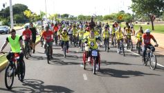 Foto de la galería: Caravana de alegría y solidaridad: en el resumen de lo que marcó la 25° Bicicleteada del Roque González
