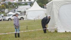 Foto de la galería: TC en Posadas: los fanáticos volvieron a vivir todo el folclore fierrero en la fiesta que fue el Rosamonte