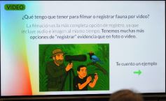 Foto de la galería: El reconocido fotógrafo ambientalista Sergio Moya compartió una convocatoria magistral en Silicon Misiones