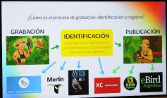 Foto de la galería: El reconocido fotógrafo ambientalista Sergio Moya compartió una convocatoria magistral en Silicon Misiones