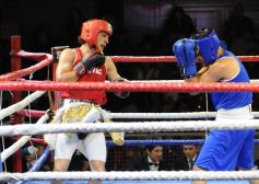 Foto de la galería: Misiones Boxea dejó cita colmada con nuevo proyecto deportivo y escenario a la medida para otro espectáculo de primera 