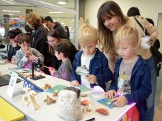 Foto de la galería: Impulsamente en Silicon Misiones: una experiencia única donde las familias jugaron, exploraron y aprendieron haciendo