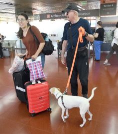 Foto de la galería: Salpicado de recorridas, encuentros y otras vueltas: resumen de coberturas que se disfrutaron en la ciudad