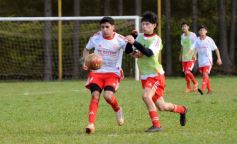 Foto de la galería: Experiencia Bayern Múnich: quedaron elegidos los 10 mejores talentos del semillero misionero