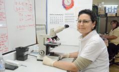 Foto de la galería: El Baliña y el Carrillo, dos hospitales con importantes servicios desde laboratorio, consultas hasta rehabilitación