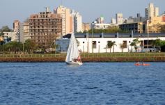 Foto de la galería: Con Cafetos y otras vueltas, se va la primera quincena y sigue el mes activo en la ciudad