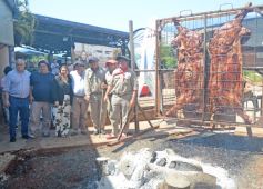 Foto de la galería: 1er Festival del Búfalo Misionero: propuesta gastronómica, encuentro y disfrute en el Mercado Concentrador