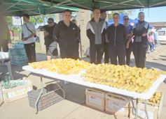 Foto de la galería: Maratón Rosa 2025 por la concientización y prevención del cáncer de mamas