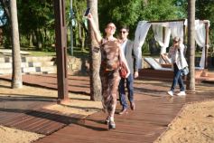 Foto de la galería: Exitoso 2° Encuentro Internacional de Real Estate, Construcción y Arquitectura en El Palenque