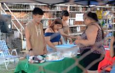 Foto de la galería: Brown avanzó a la siguiente ronda del Regional Amateur gracias a su victoria ante Colonial