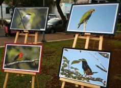 Foto de la galería: El potencial del verano 2025-2026 de Misiones se exhibió en el Parque Paraguayo 