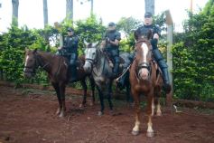 Foto de la galería: En busca de la Semifinal del Regional Amateur: Guaraní recibe a Estudio Galeano