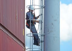 Foto de la galería: Recibimiento en el Puerto de Posadas, llegada del convoy que marca el crecimiento que se consolida 