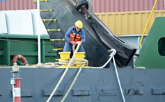 Foto de la galería: Recibimiento en el Puerto de Posadas, llegada del convoy que marca el crecimiento que se consolida 