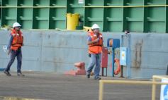 Foto de la galería: Recibimiento en el Puerto de Posadas, llegada del convoy que marca el crecimiento que se consolida 