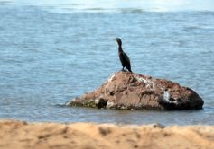 Foto de la galería: El verano se disfruta a pleno en las playas y el camping de la capital provincial  