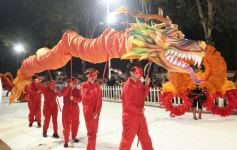 Foto de la galería: Un espectáculo inolvidable se vivió en San Ignacio con las comparsas del Carnaval Provincial