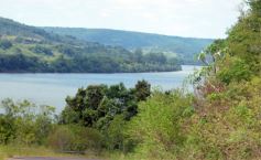 Foto de la galería: Postales de la costa del río Uruguay y de misioneros que viajan a Brasil buscando posibilidades de trabajo