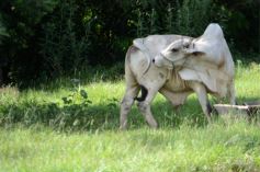 Foto de la galería: Postales de la costa del río Uruguay y de misioneros que viajan a Brasil buscando posibilidades de trabajo