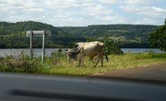 Foto de la galería: Postales de la costa del río Uruguay y de misioneros que viajan a Brasil buscando posibilidades de trabajo