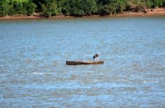 Foto de la galería: Postales de la costa del río Uruguay y de misioneros que viajan a Brasil buscando posibilidades de trabajo
