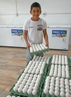 Foto de la galería: Sabores del Paraná invita a disfrutar de una amplia variedad de pescados, productos congelados y elaborados