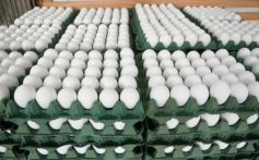 Foto de la galería: Sabores del Paraná invita a disfrutar de una amplia variedad de pescados, productos congelados y elaborados