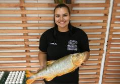 Foto de la galería: Sabores del Paraná invita a disfrutar de una amplia variedad de pescados, productos congelados y elaborados