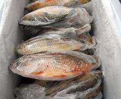 Foto de la galería: Sabores del Paraná invita a disfrutar de una amplia variedad de pescados, productos congelados y elaborados