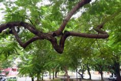 Foto de la galería: Equipos de trabajo de distintos rubros que se potencian en sus respectivos ámbitos 