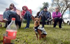 Foto de la galería: El 27° tradicional encuentro de la familia Peralta que une generaciones 
