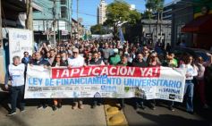 Foto de la galería: En Posadas miles de personas marcharon para exigir la Ley de Financiamiento Universitario