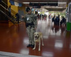 Foto de la galería: Postales de la despedida de la Selección Nacional de Vóley 