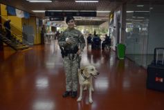 Foto de la galería: Postales de la despedida de la Selección Nacional de Vóley 