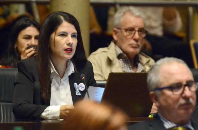 Legislatura: la ley de duelo gestacional fue una de las aprobadas en la primera sesión del año