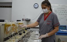 Colecta solidaria: habrá una nueva jornada de Donación Voluntaria de Sangre en Posadas