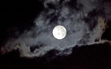 Meditación de Luna Llena: invitan a dos encuentros gratuitos en la ciudad
