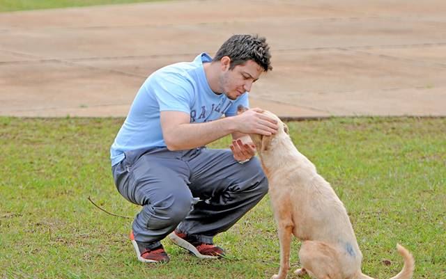 Entre el 20 y el 22 de noviembre: realizarán el 1er relevamiento de perros y gatos en hogares de Posadas