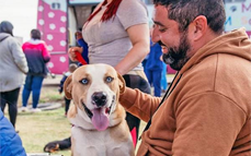 Jornada mascotera: el IMuSa se alista con una propuesta especial para el Dia del Animal en Posadas