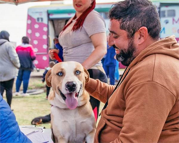 Jornada mascotera: el IMuSa se alista con una propuesta especial para el Dia del Animal en Posadas
