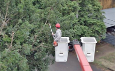 Energia de Misiones: desde este martes arranca el operativo integral de poda para despejar lineas en Posadas