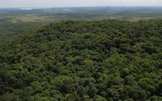 Retiro Misiones del Alma: invitan a una experiencia de sanación interior y conexión con la energía de la selva misionera