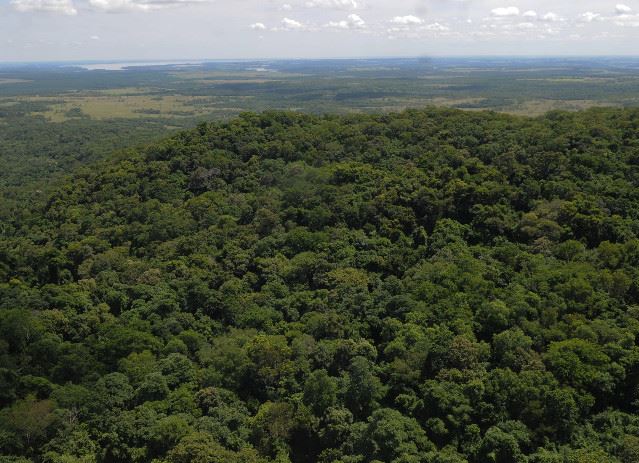 Retiro Misiones del Alma: invitan a una experiencia de sanación interior y conexión con la energía de la selva misionera