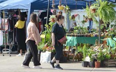 La Expo Jardín trae su 1ra edición con propuestas de ornamentación, botánica, grilla artística y recreación este 4 y 5 de octubre