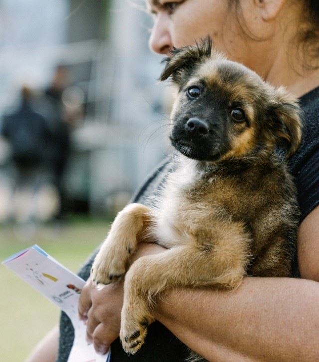 El Instituto Municipal de Salud Animal refuerza la atención veterinaria gratuita en los barrios