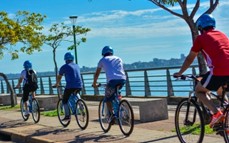 Paseos guiados para disfrutar de la naturaleza y el arte urbano